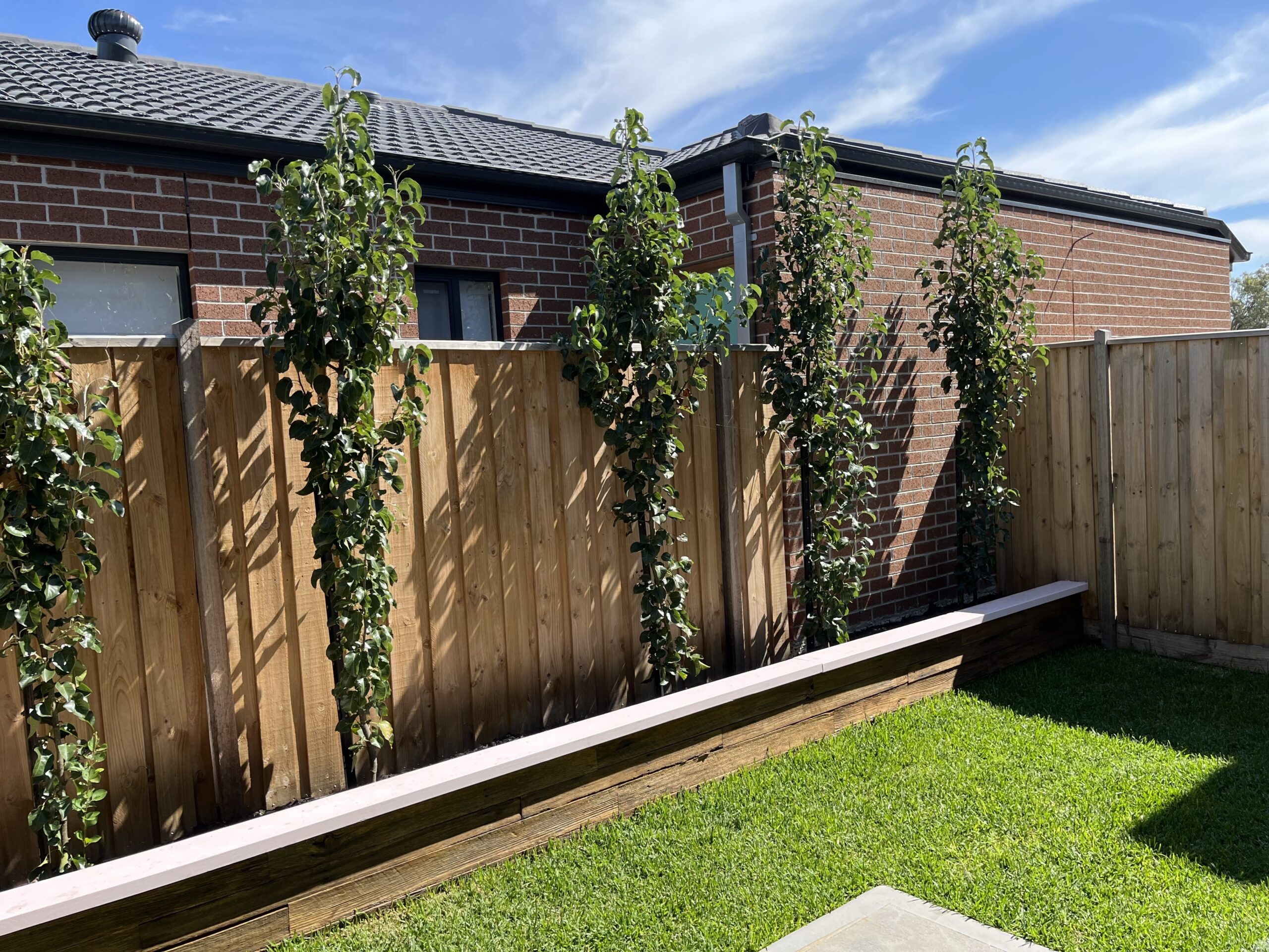 Finished timber fence, retaining edge and landscaped yard